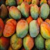 Fresh Mango